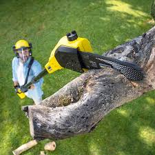 Best Emergency Tree Removal  in Gladeview, FL