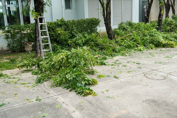 Best Hazardous Tree Removal  in Gladeview, FL