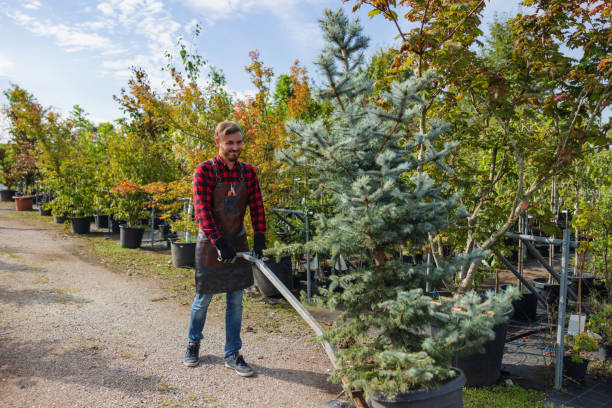 Best Tree Planting  in Gladeview, FL